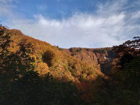 大門山|大門山